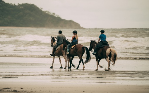 ESH -  SANCTUARY OF SERENITY AND WELLNESS 